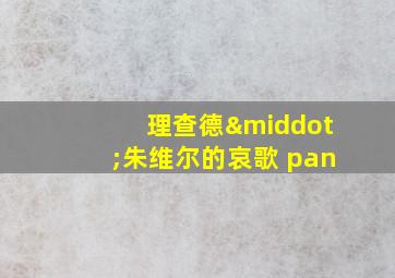 理查德·朱维尔的哀歌 pan